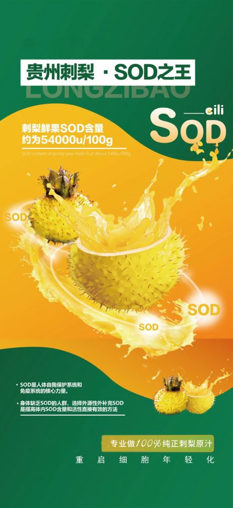 刺梨中的SOD被称为“人体健康软黄金”！你知道吗？